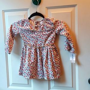Girl's Carters dress
